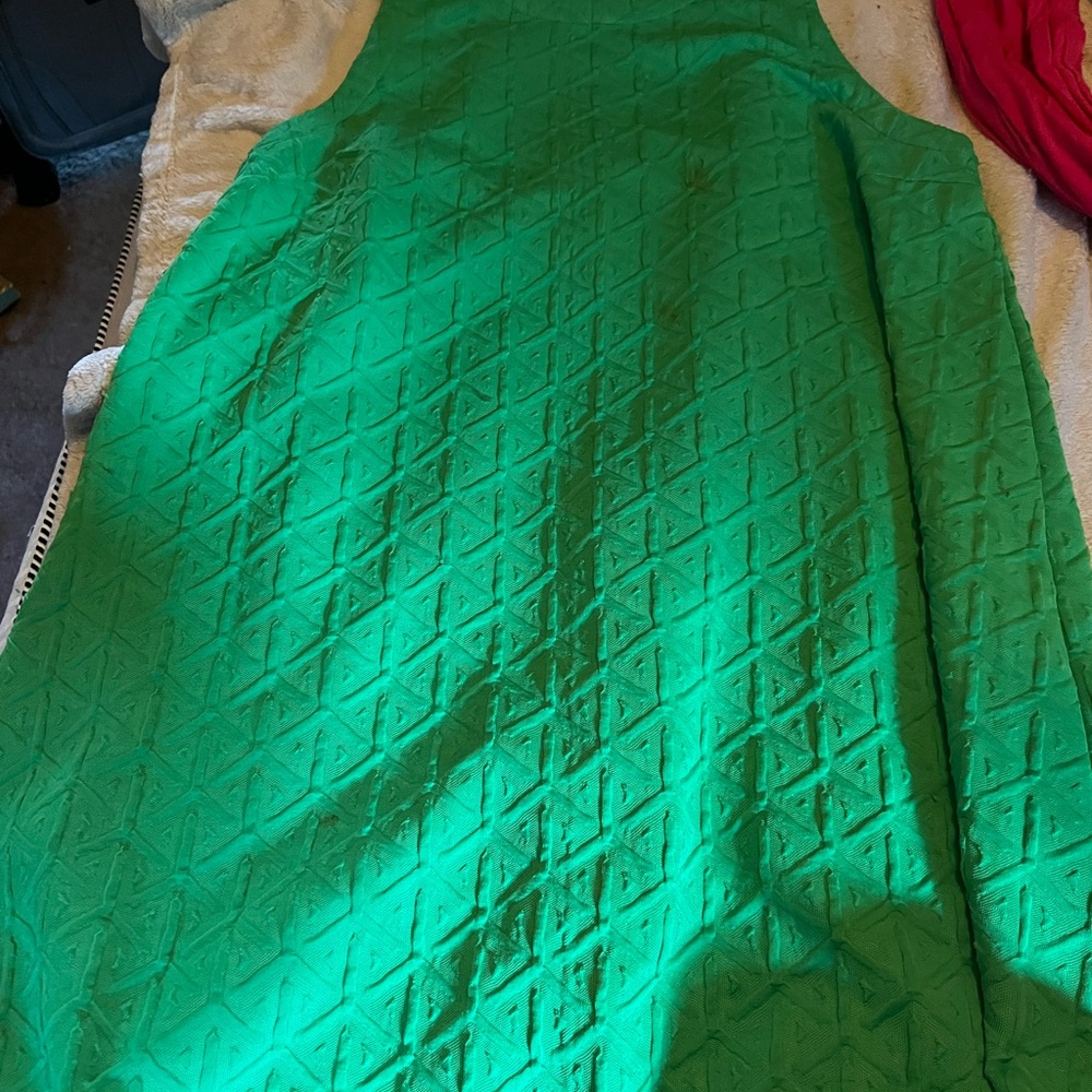 Crown & Ivy Vibrant Green 60s style Shift Dress